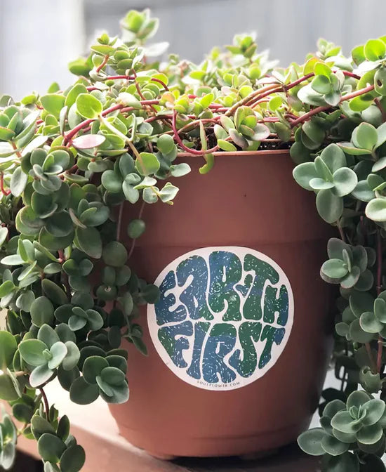Soul Flower Earth Lover Stickers
