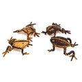 Banana Fiber Frog