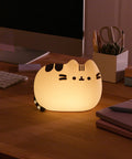 Pusheen 3D Lamp
