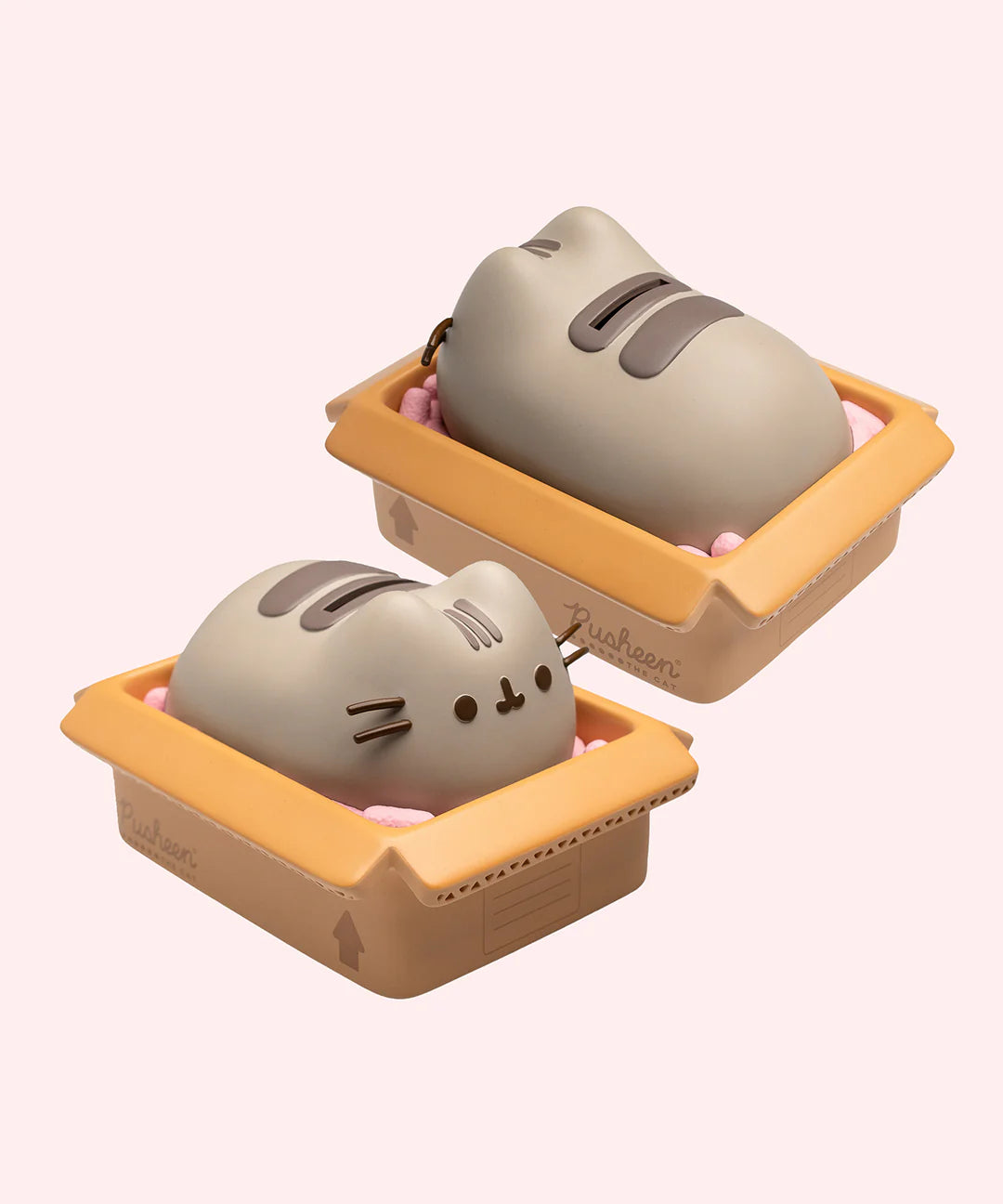 Pusheen Piggy Bank